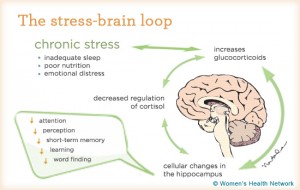 "The Stress-Brain Loop," copyright of the Women's Health Network. 