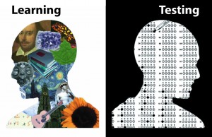 learning vs.testing